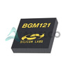 BGM121N256V2R
