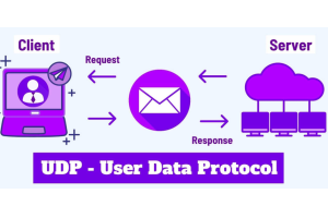 UDP에 관한 모든 것 : 연결없는 의사 소통을위한 안내서