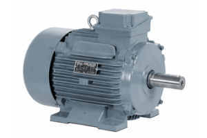 농형 유도 전동기: 작동 원리, 유형, 장점 및 응용